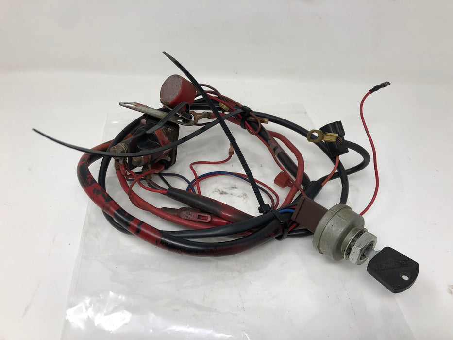 7018816 Snapper Wiring Harness