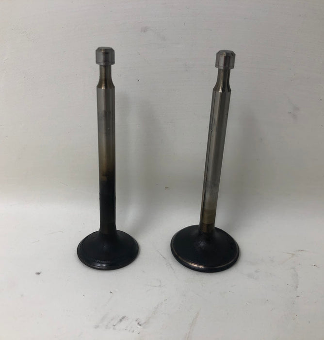 594095 Briggs and Stratton Exhaust & Intake Valve