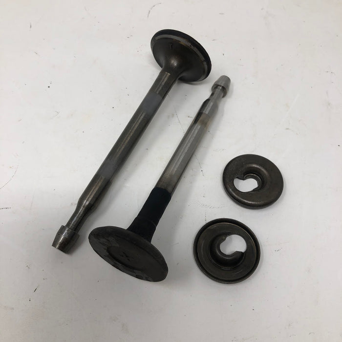 Tecumseh Valves & Spring Retainers (x2)