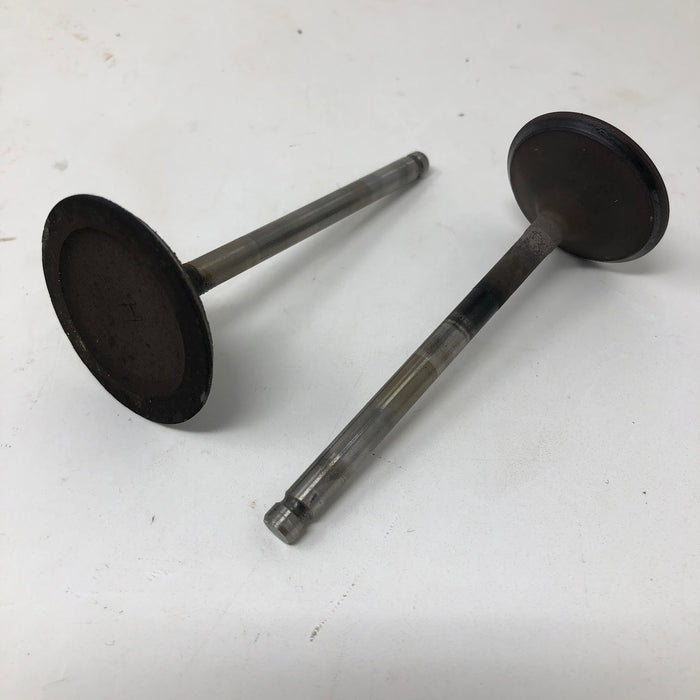 591751 Briggs & Stratton Intake + Exhaust Valves