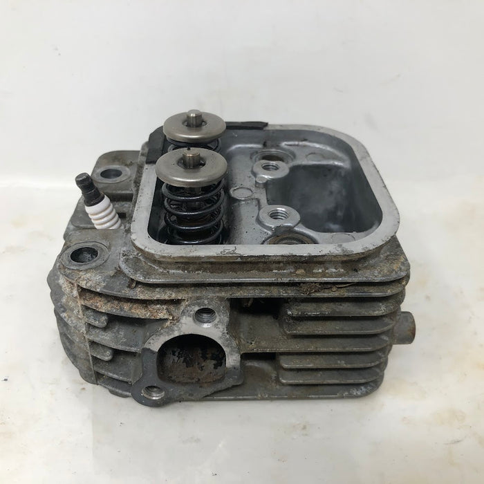 809201 Briggs & Stratton V-Twin Cylinder Head