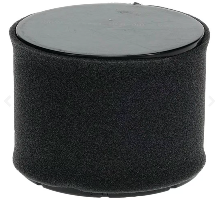 100-018 Stens Air Filter