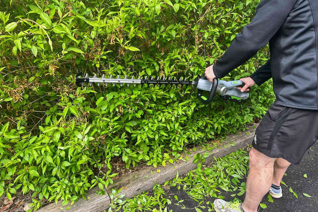 Hedge Trimmer (Handheld, Battery) Rental