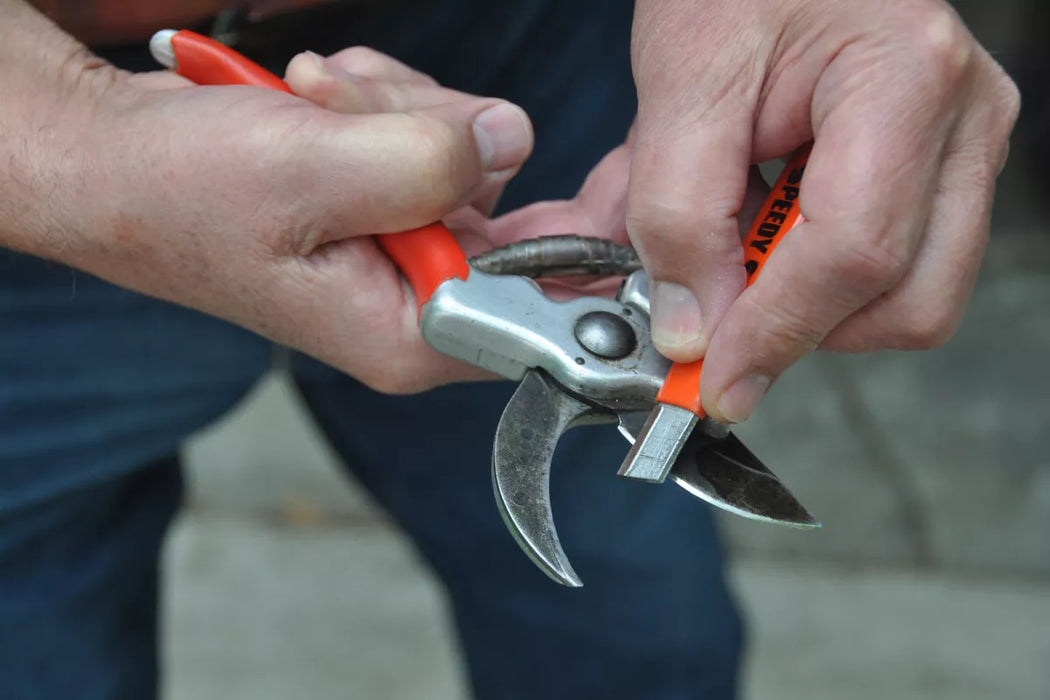 Hand Tool Sharpening