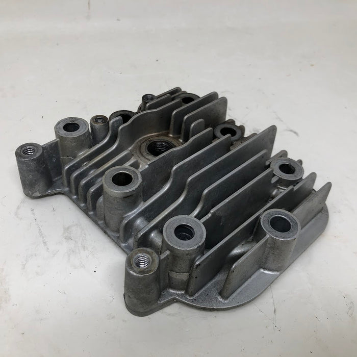 213861 Briggs & Stratton Cylinder Head