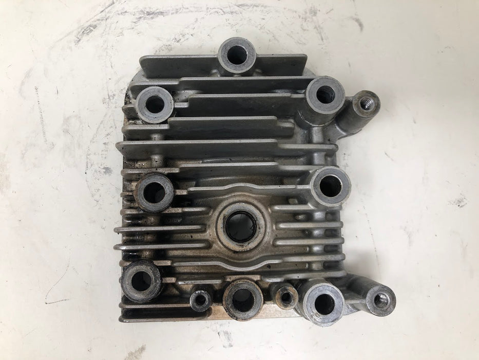 213861 Briggs & Stratton Cylinder Head