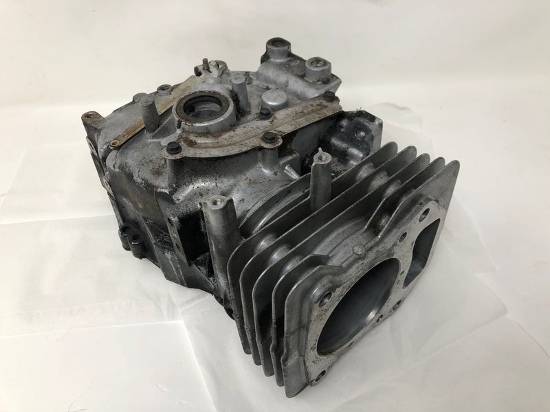 692670 Briggs and Stratton Cylinder Assembly