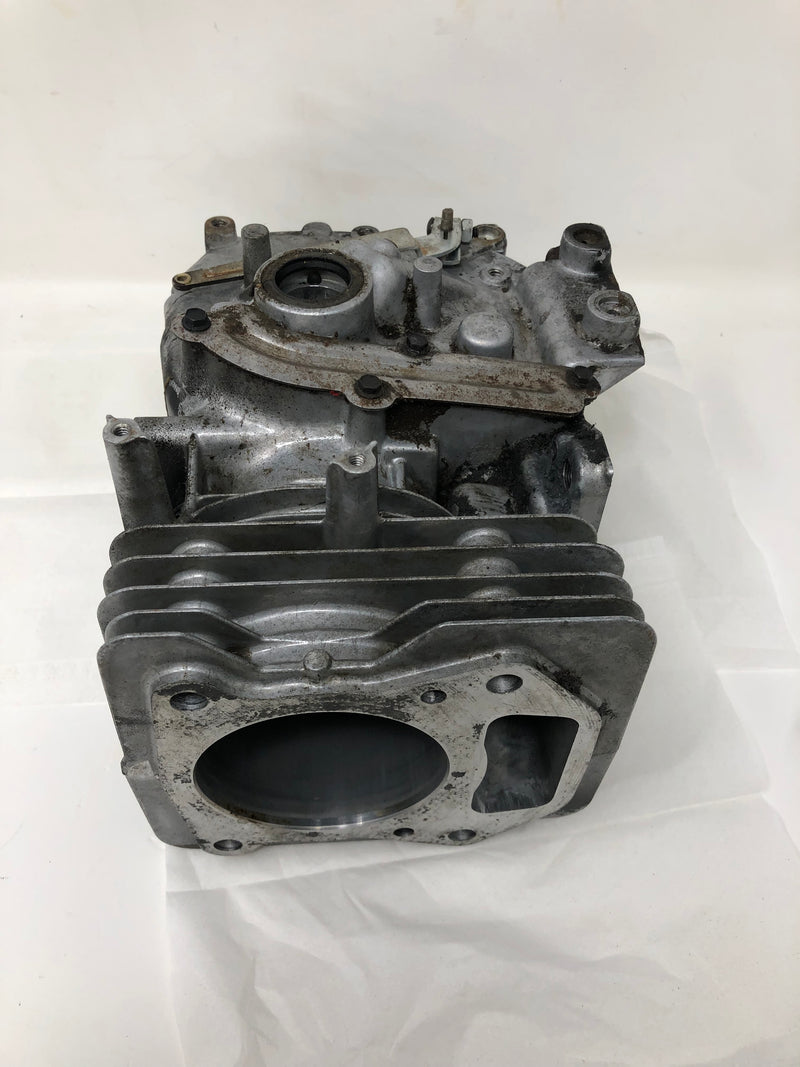 692670 Briggs and Stratton Cylinder Assembly