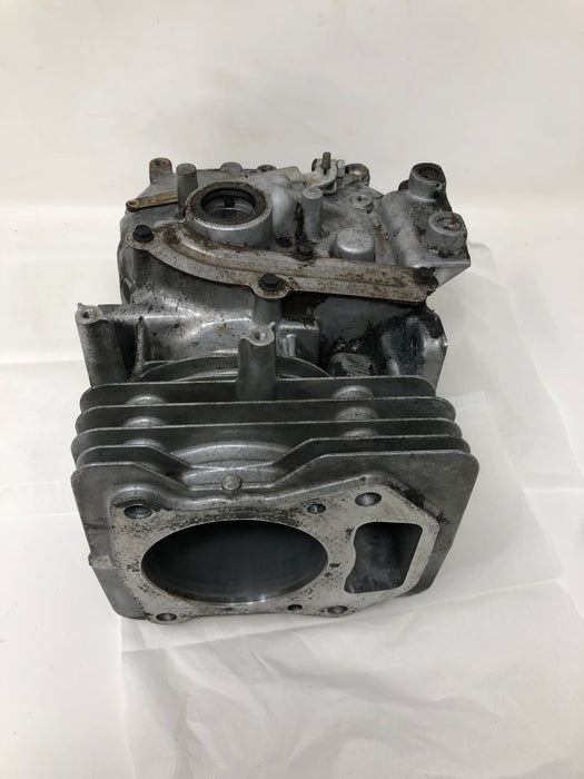 692670 Briggs and Stratton Cylinder Assembly