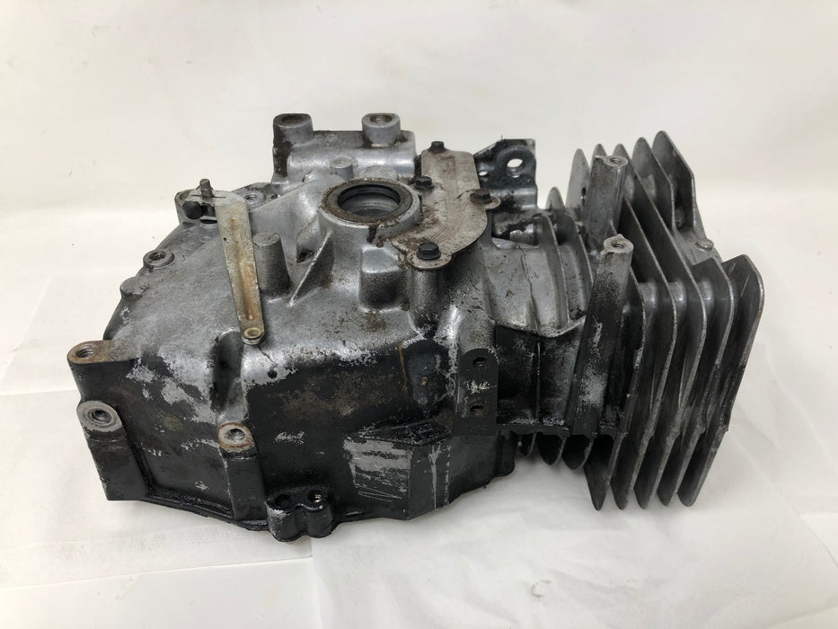 692670 Briggs and Stratton Cylinder Assembly