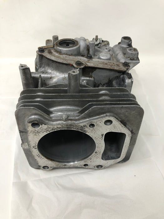 692670 Briggs and Stratton Cylinder Assembly