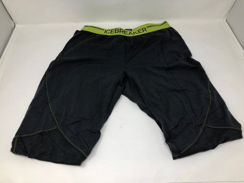 Icebreaker Pants Men's Merino Wool Body Fit Zone