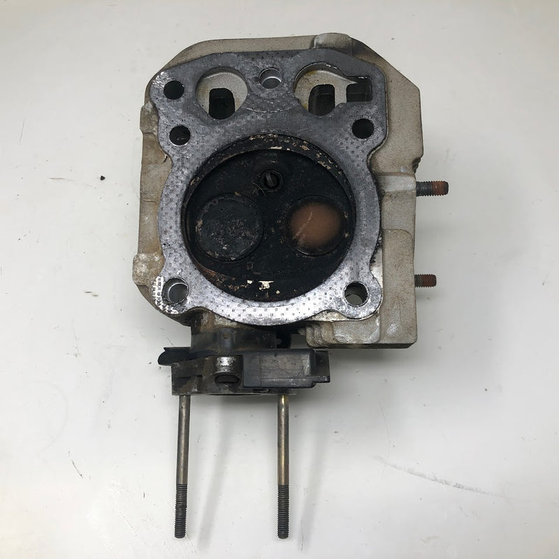 12 318 01 Kohler Cylinder Head