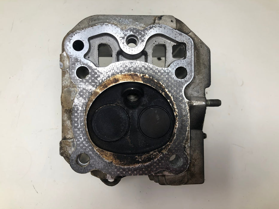 12 55 58 Kohler Cylinder Head