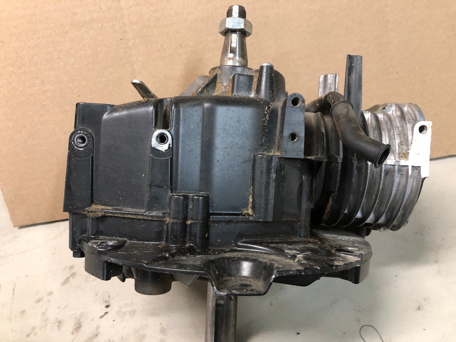 128M02-1612-FI Briggs and Stratton Vertical Engine