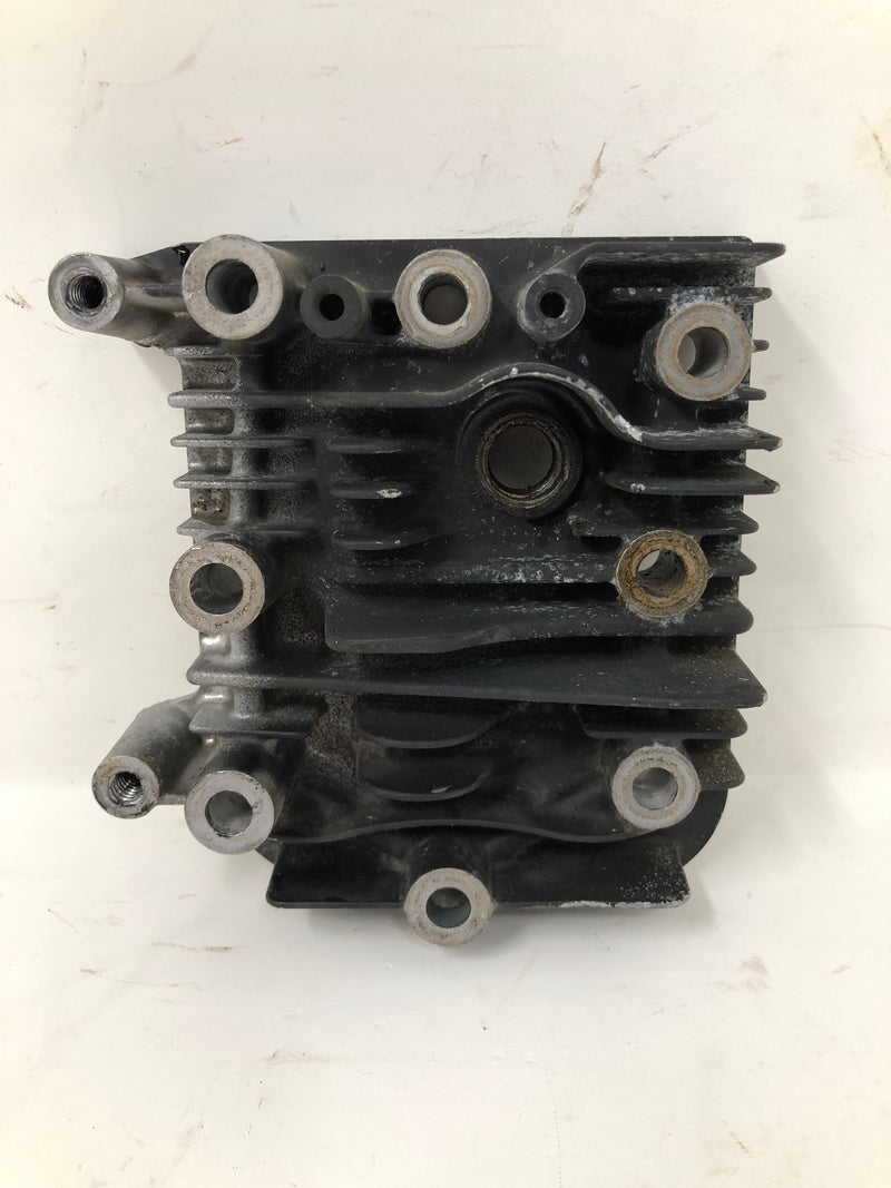590411 Briggs and Stratton Cylinder Head
