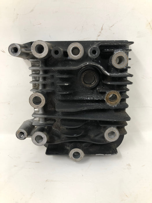 590411 Briggs and Stratton Cylinder Head