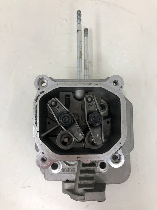 14 318 10-S Kohler Cylinder Head Assembly