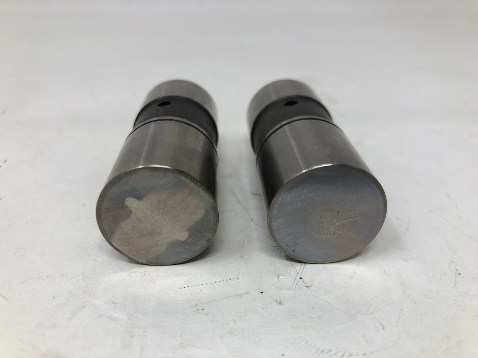 12 351 01 Kohler Lifters (x2)