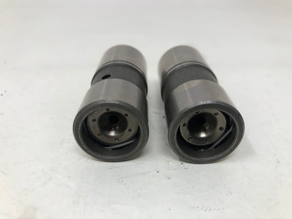 12 351 01 Kohler Lifters (x2)