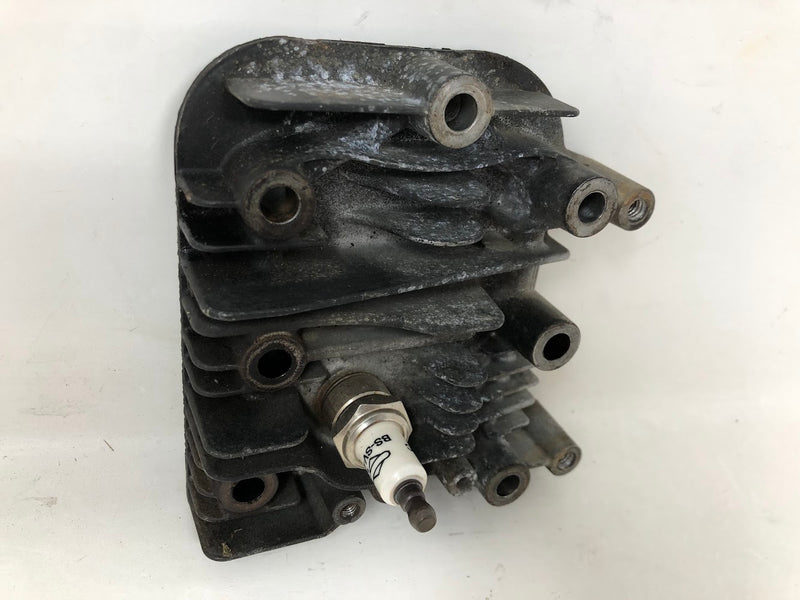 590411 Briggs & Stratton Cylinder Head