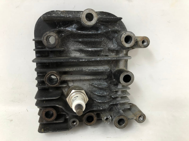 590411 Briggs & Stratton Cylinder Head