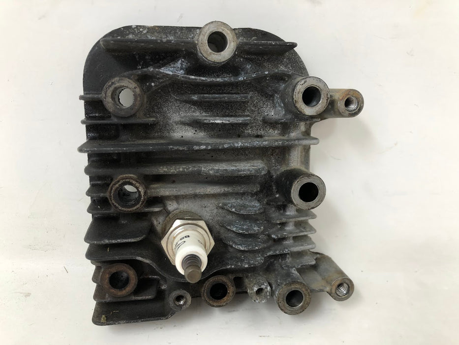 590411 Briggs & Stratton Cylinder Head