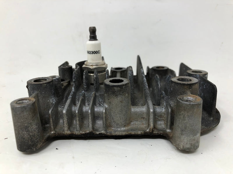 590411 Briggs & Stratton Cylinder Head