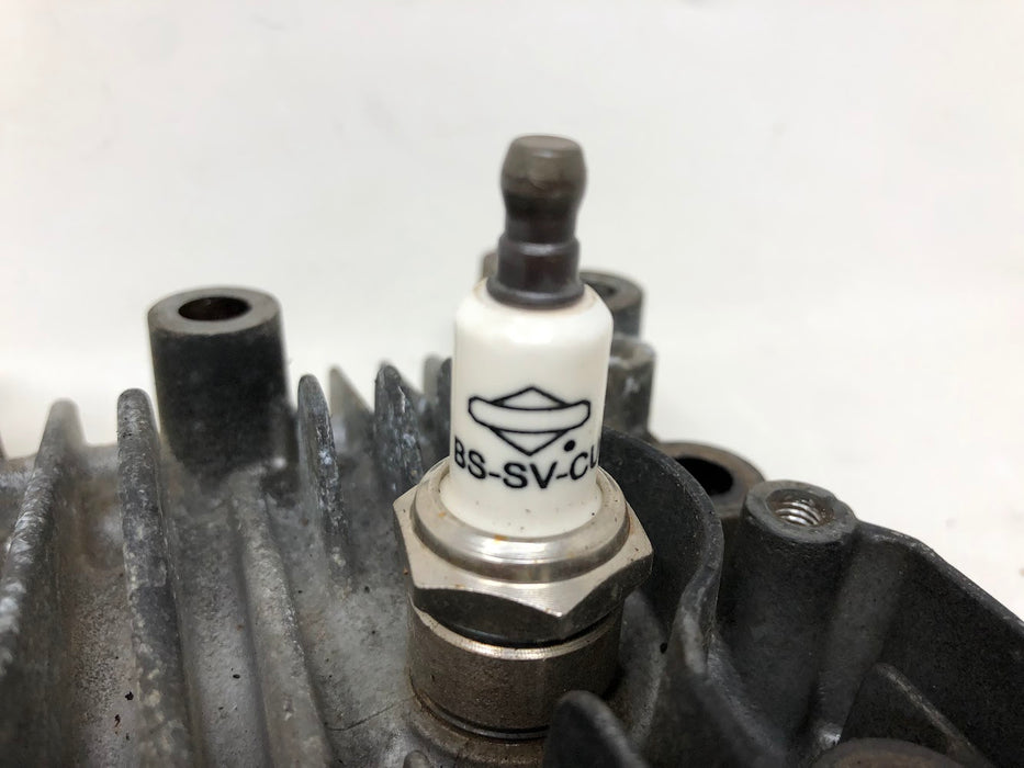 590411 Briggs & Stratton Cylinder Head