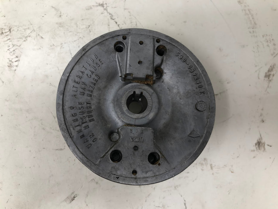 530039231 Poulan Pro Flywheel Assembly