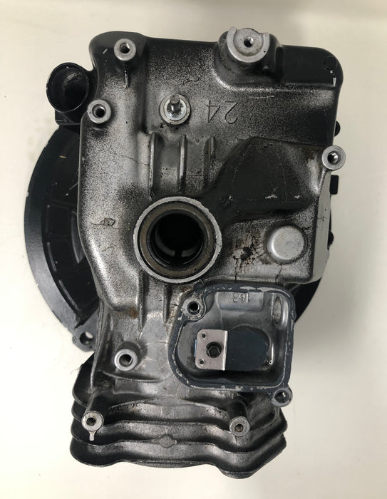594101 Briggs and Stratton Engine Sump & Cylinder Head Assembly