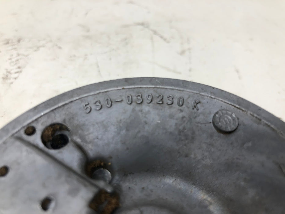 530039231 Poulan Pro Flywheel Assembly