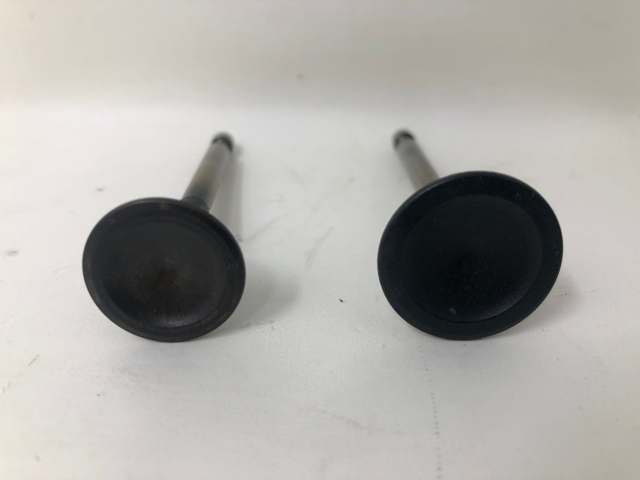 594095 Briggs and Stratton Exhaust & Intake Valve