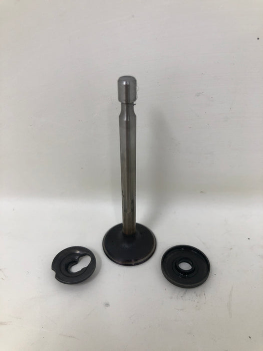 795443 Briggs and Stratton Intake Valve