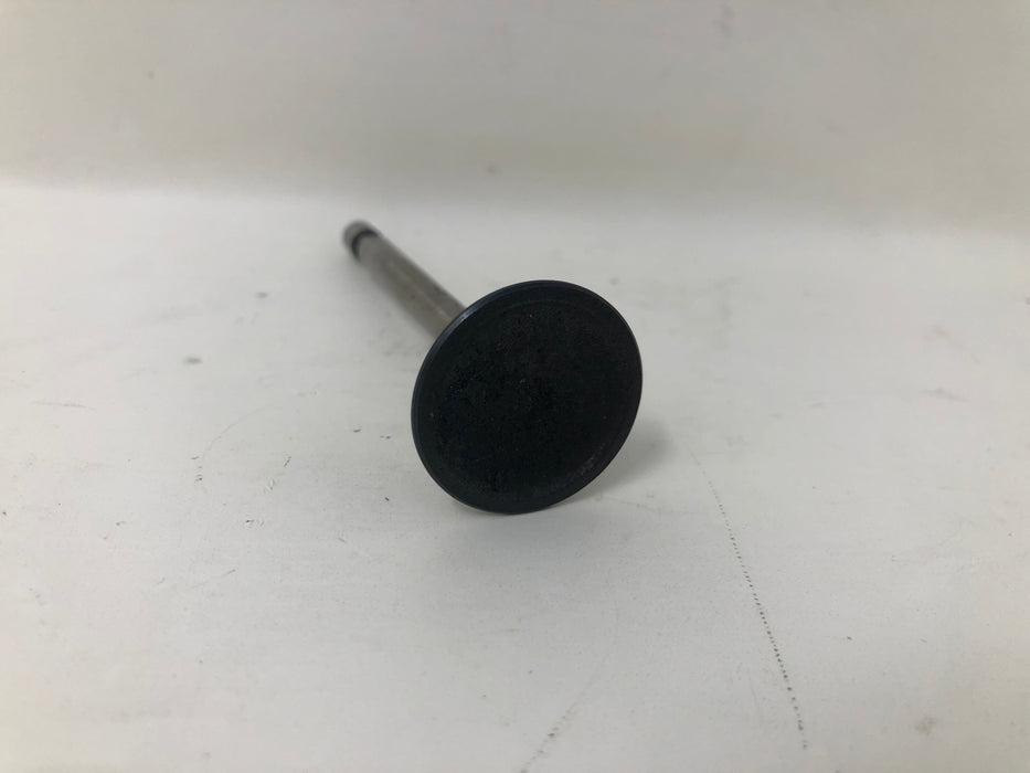 795443 Briggs and Stratton Intake Valve