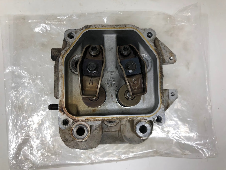 32 318 14-S Kohler Cylinder Head Assembly
