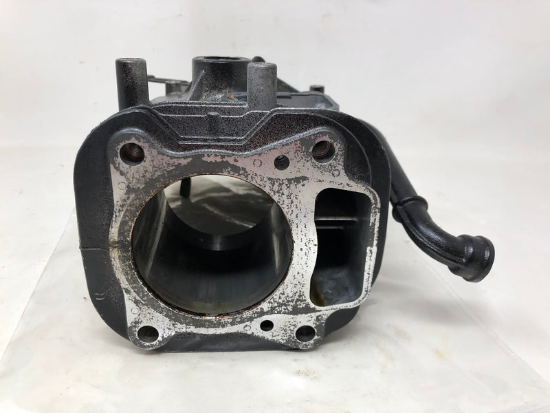 595286 Briggs & Stratton Cylinder Assembly