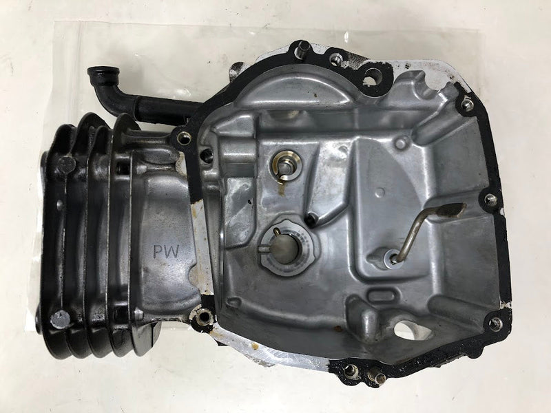 595286 Briggs & Stratton Cylinder Assembly