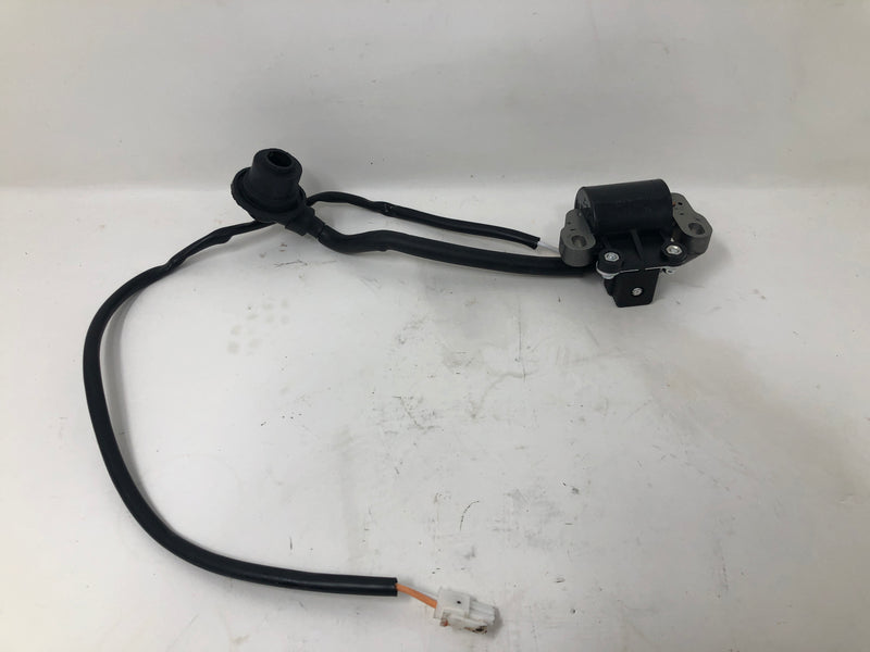 10000038256 Generac Ignition Coil Assembly