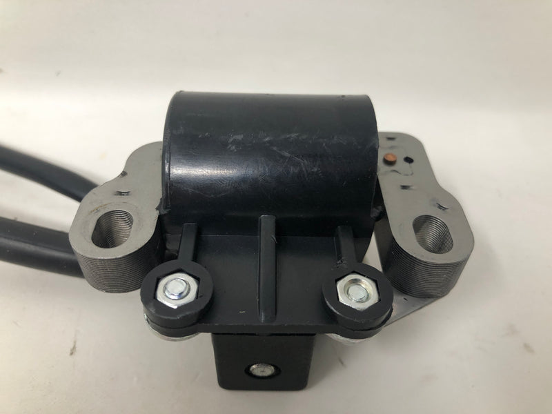 10000038256 Generac Ignition Coil Assembly