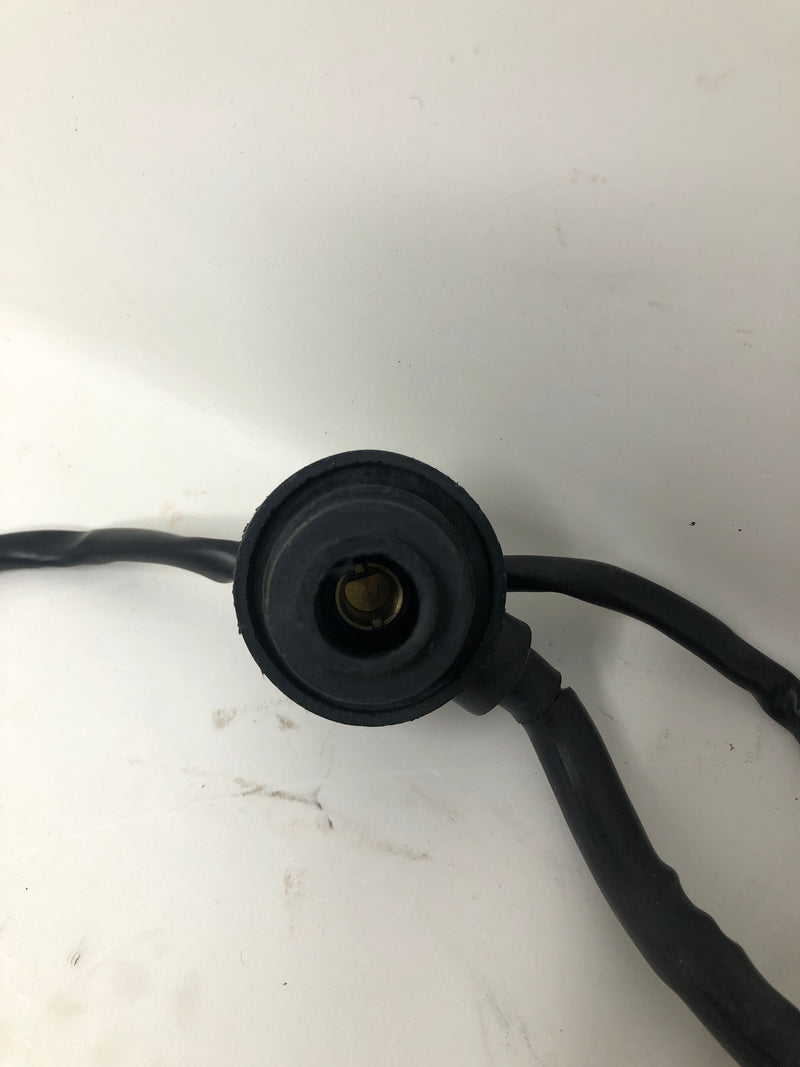 10000038256 Generac Ignition Coil Assembly