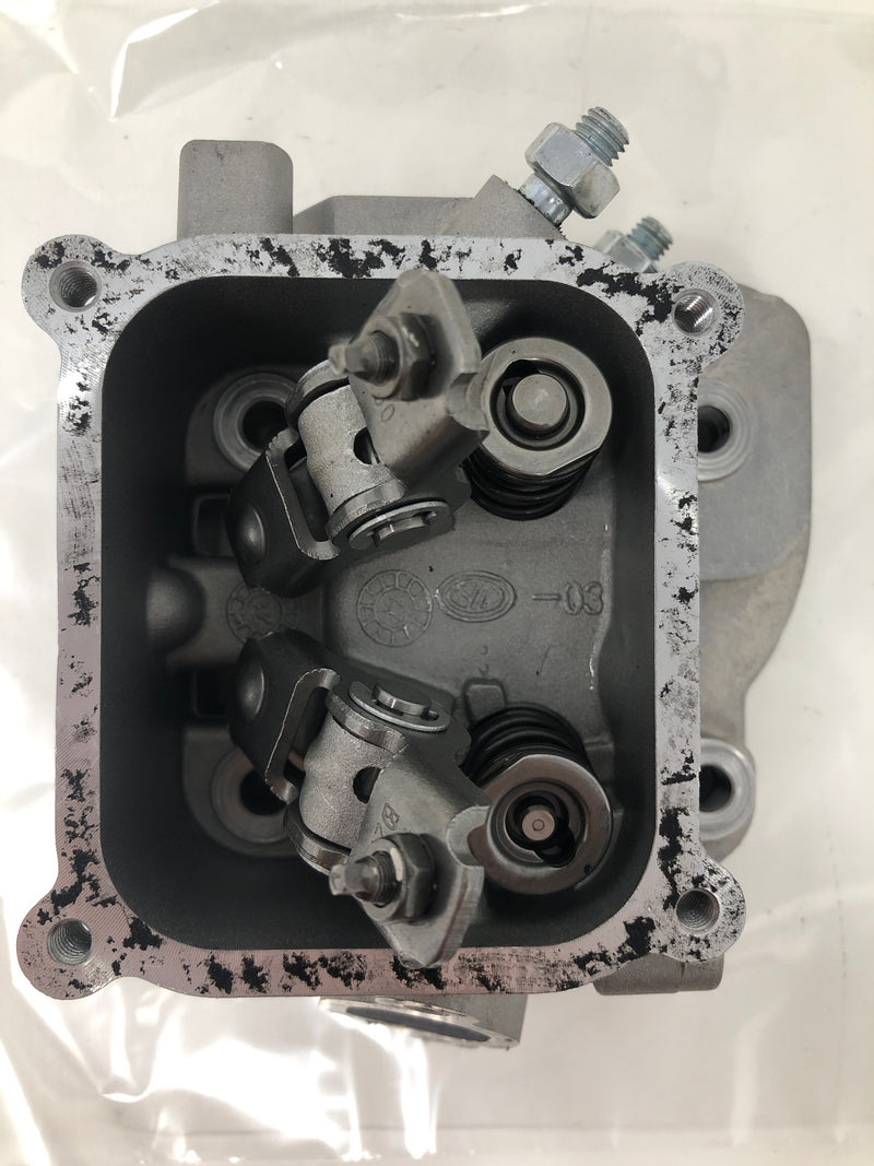 0J88870101 Generac Cylinder Head Assembly