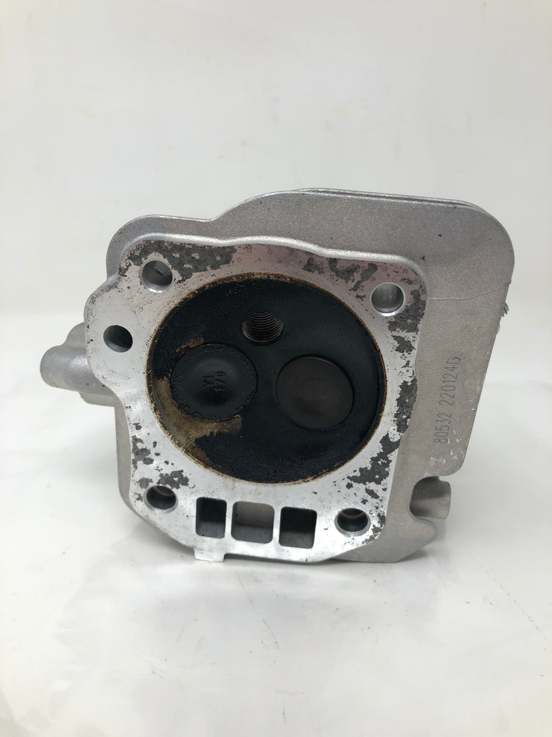 0J88870101 Generac Cylinder Head Assembly