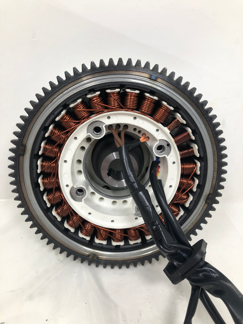 10000038275 Generac Rotor/Stator Assembly