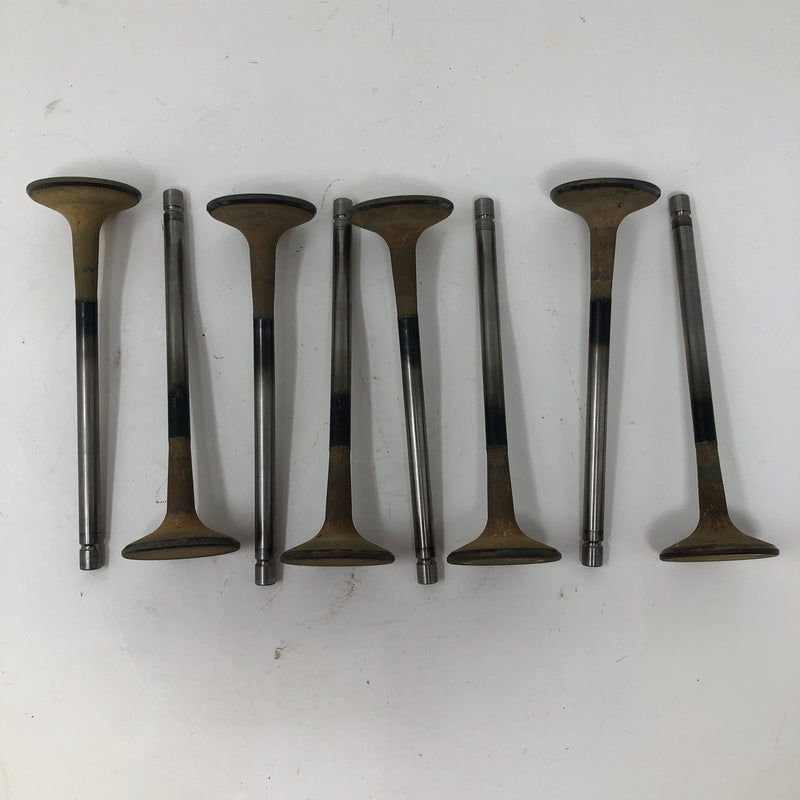 Slant 6 Engine Valves (x8)