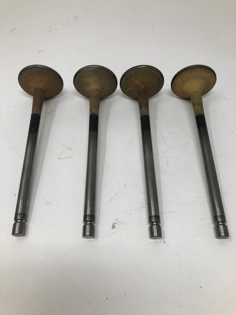 Slant 6 Engine Valves (x8)