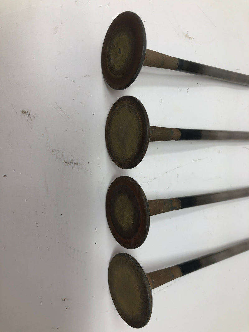 Slant 6 Engine Valves (x8)