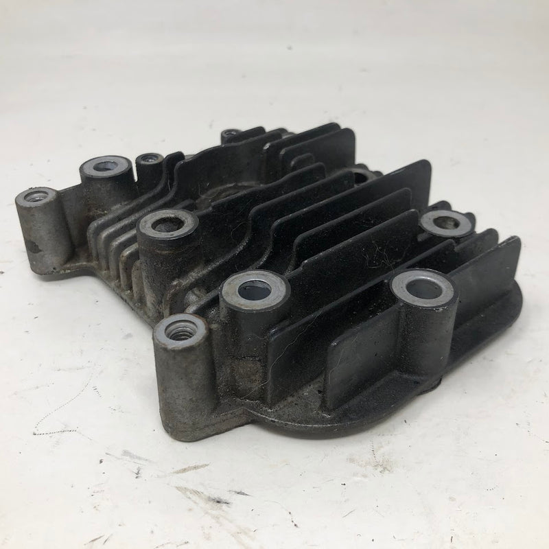590411 Briggs & Stratton Cylinder Head.