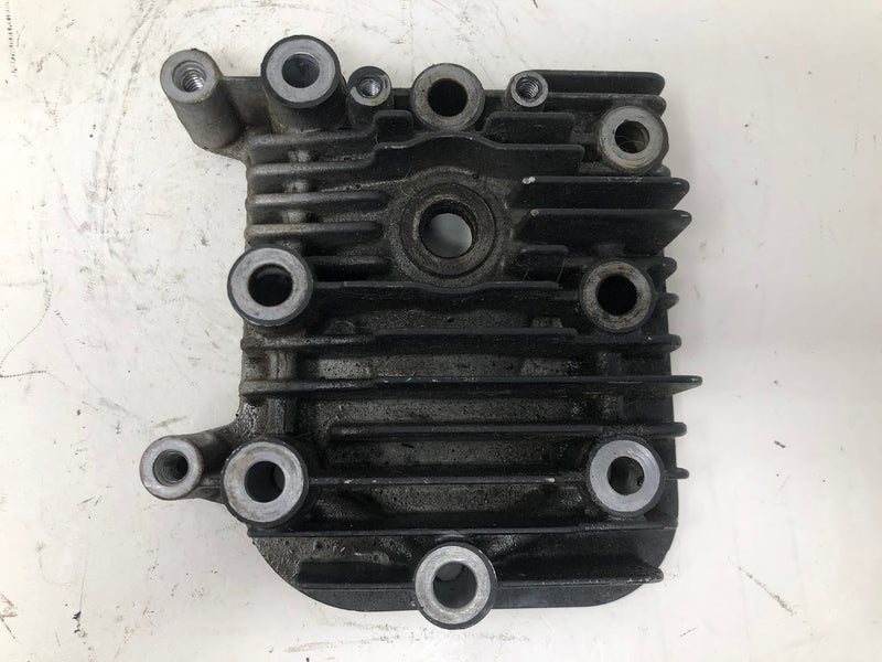 590411 Briggs & Stratton Cylinder Head.
