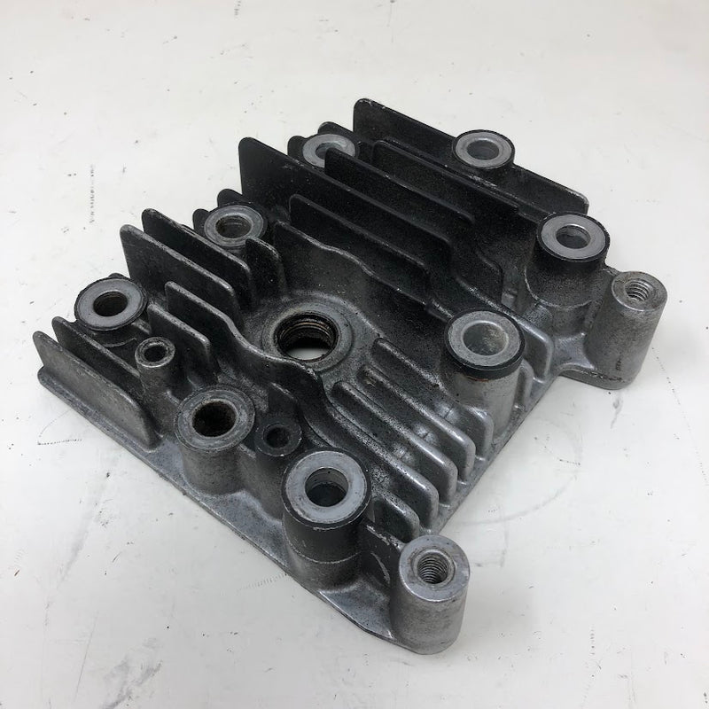 594989 Briggs & Stratton Cylinder Head